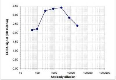 ELISA: Histone H3 [Dimethyl Arg17] Antibody [NBP2-59162] - To determine the titer, an ELISA was performed using a serial dilution of the antibody directed against H3R17me2(asym) . The antigen used was a peptide containing the histone modification of interest. By plotting the absorbance against the antibody dilution, the titer of the antibody was estimated to be 1:40,000.